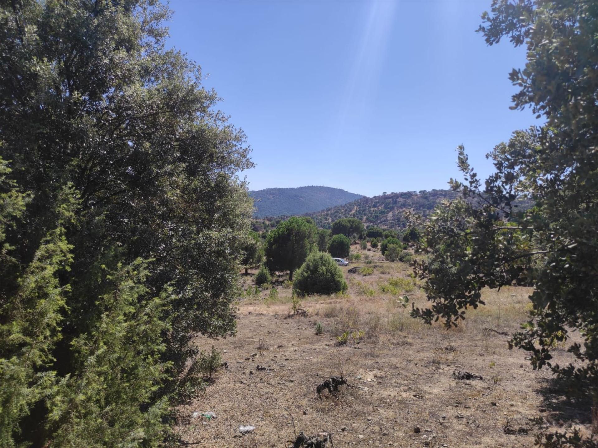 Country house for sale in El Hoyo de Pinares 