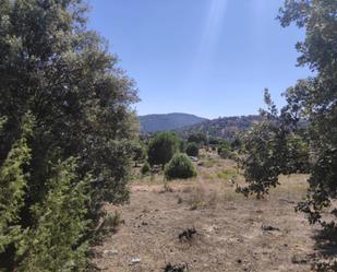 Finca rústica en venda en El Hoyo de Pinares 