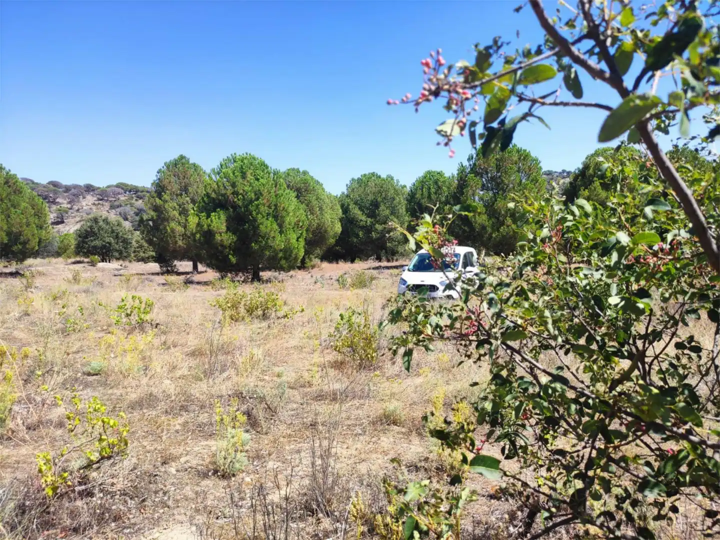 Finca rústica en venda en El Hoyo de Pinares 