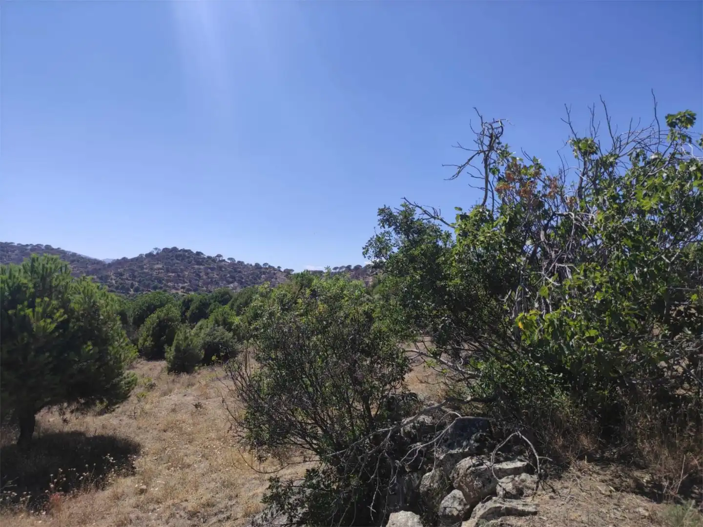 Finca rústica en venda en El Hoyo de Pinares 
