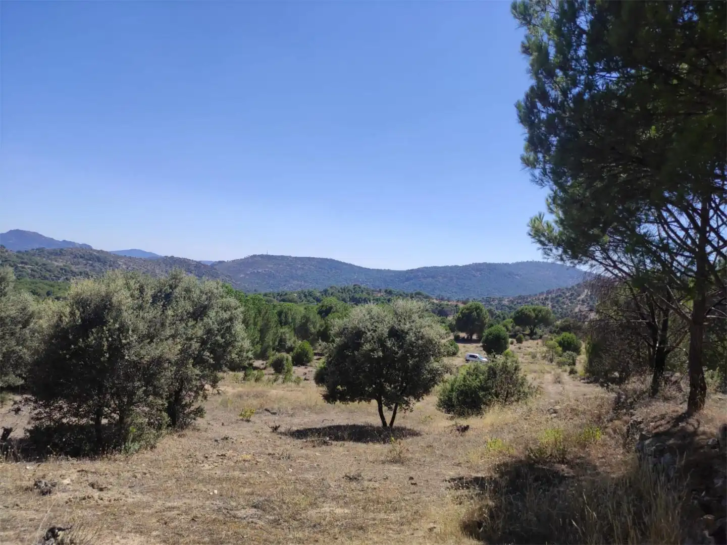Finca rústica en venda en El Hoyo de Pinares 