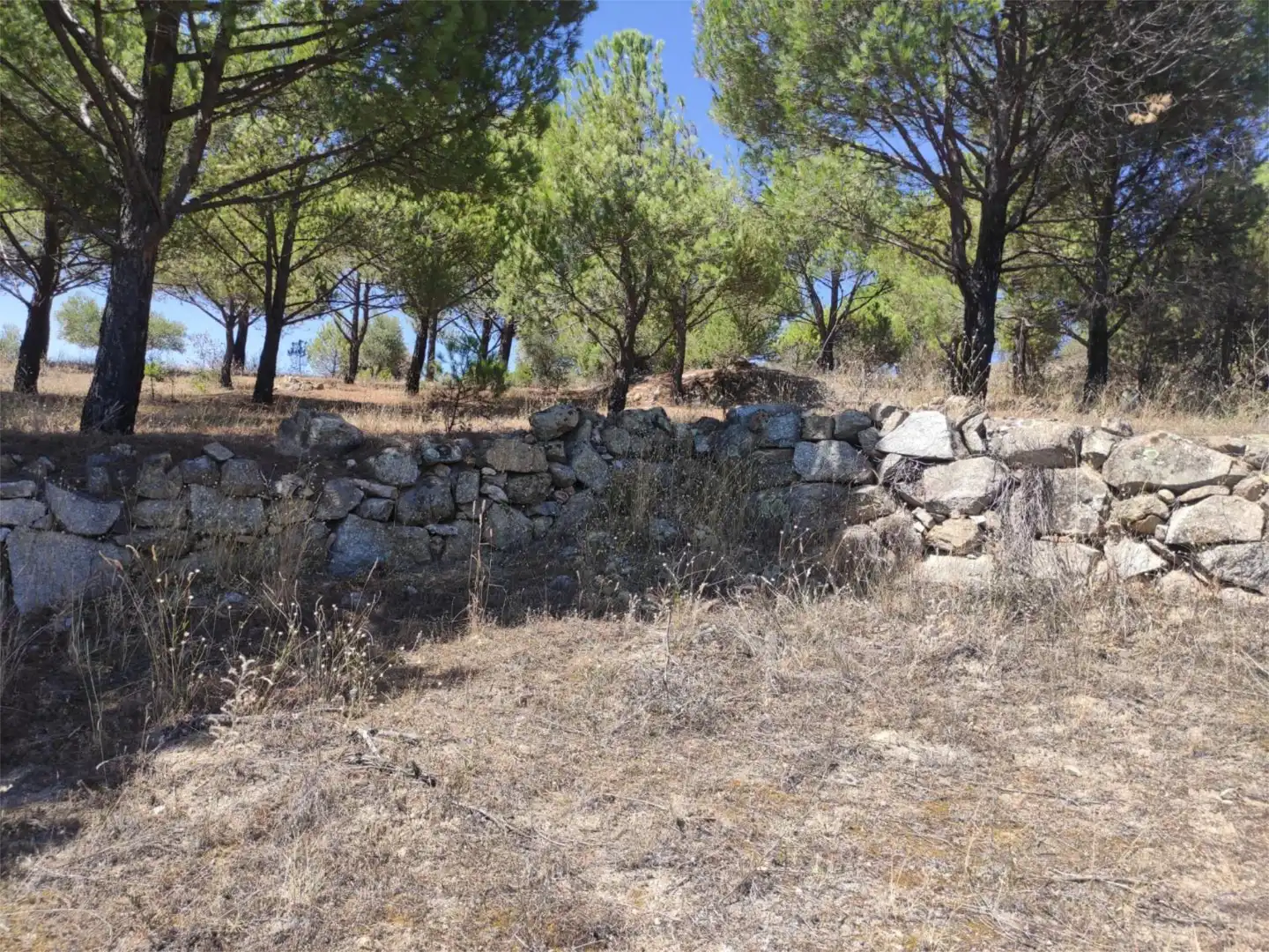 Finca rústica en venda en El Hoyo de Pinares 