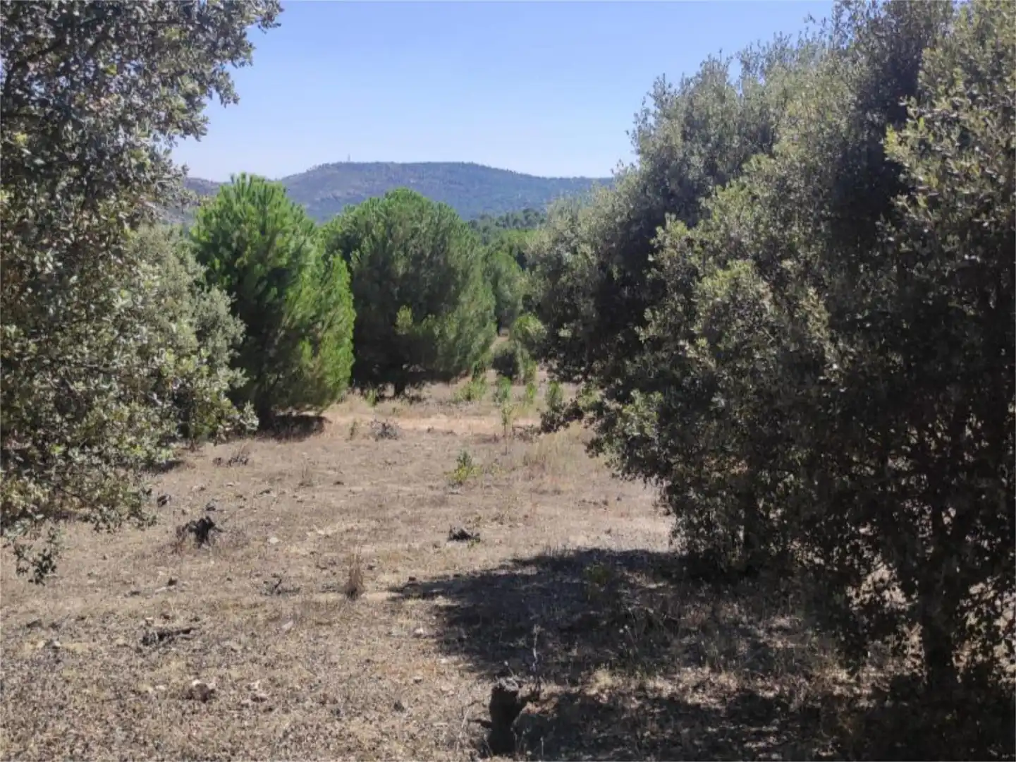 Finca rústica en venda en El Hoyo de Pinares 