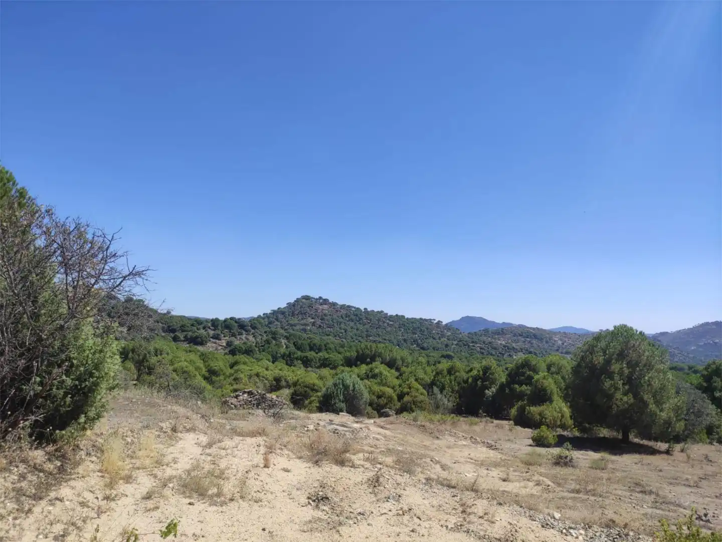 Finca rústica en venda en El Hoyo de Pinares 