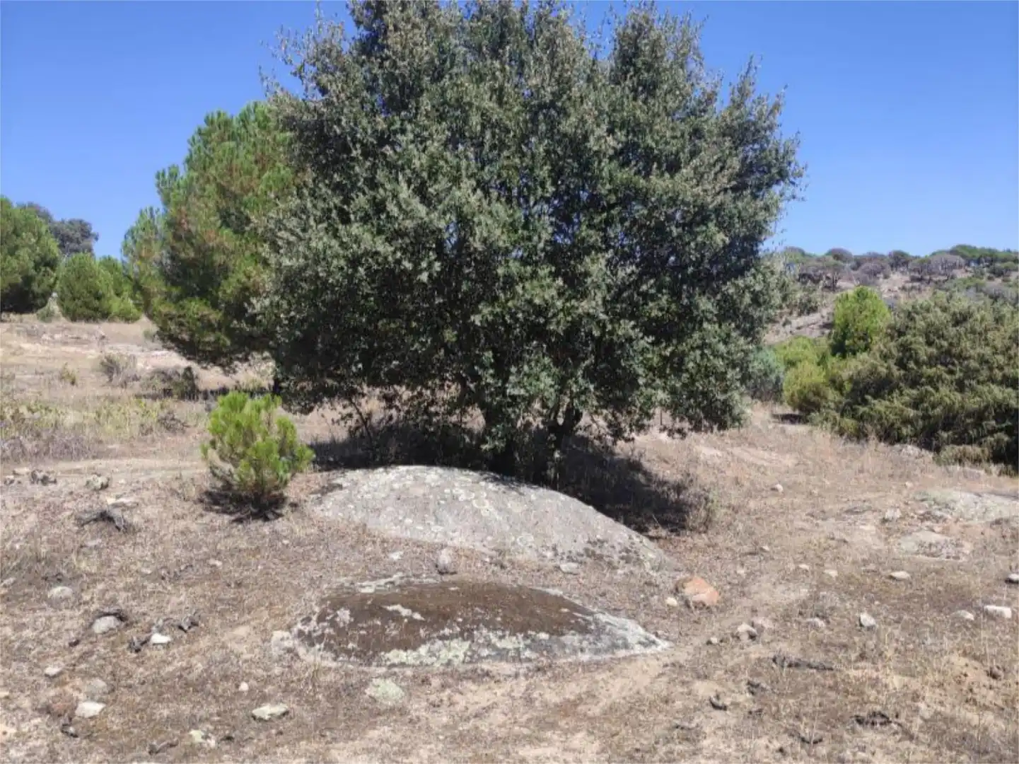 Finca rústica en venda en El Hoyo de Pinares 