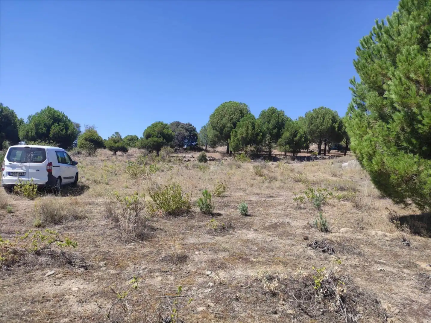 Finca rústica en venda en El Hoyo de Pinares 