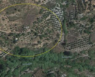 Land for sale in Almegíjar