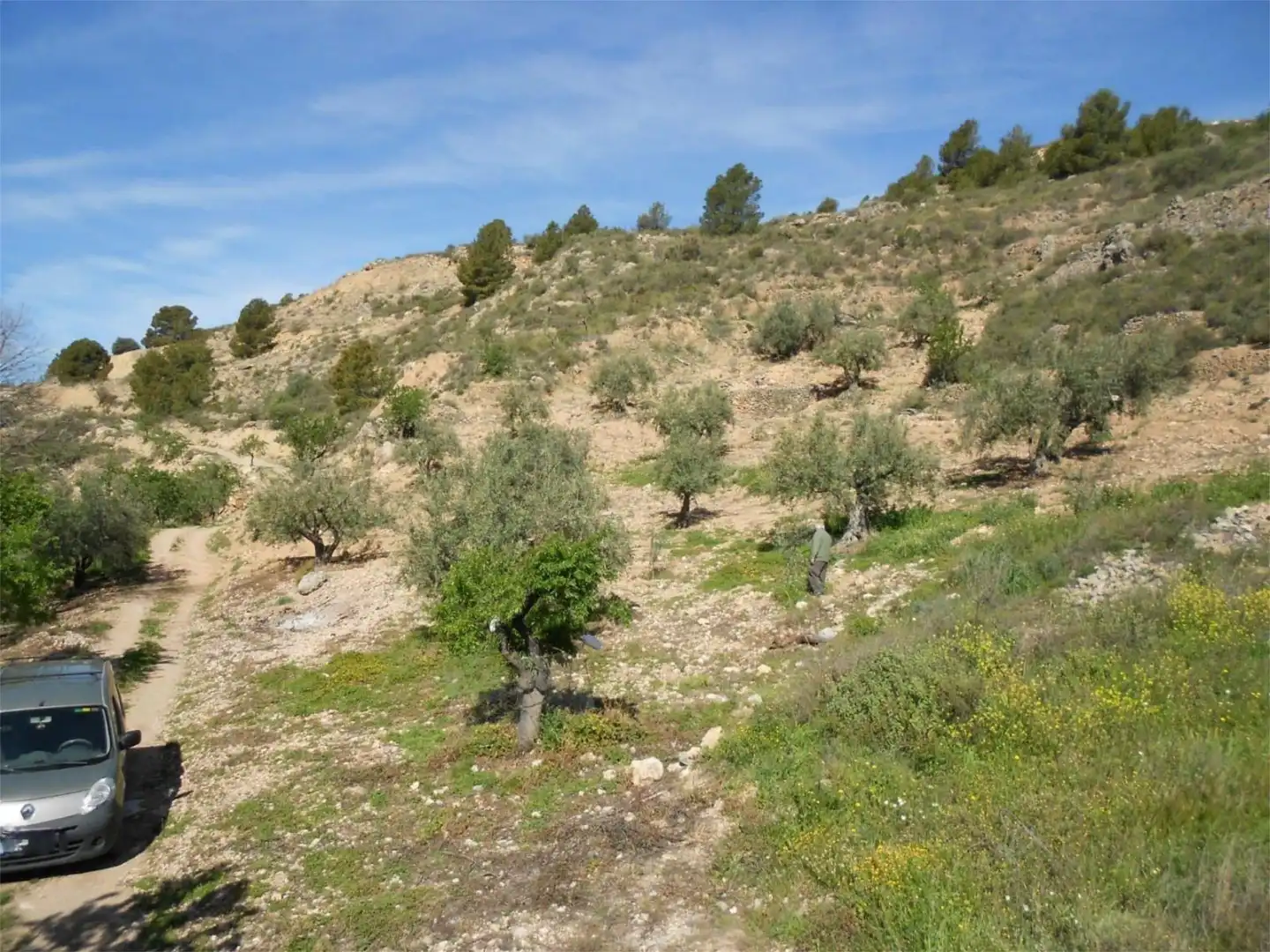 Land for sale in Almegíjar