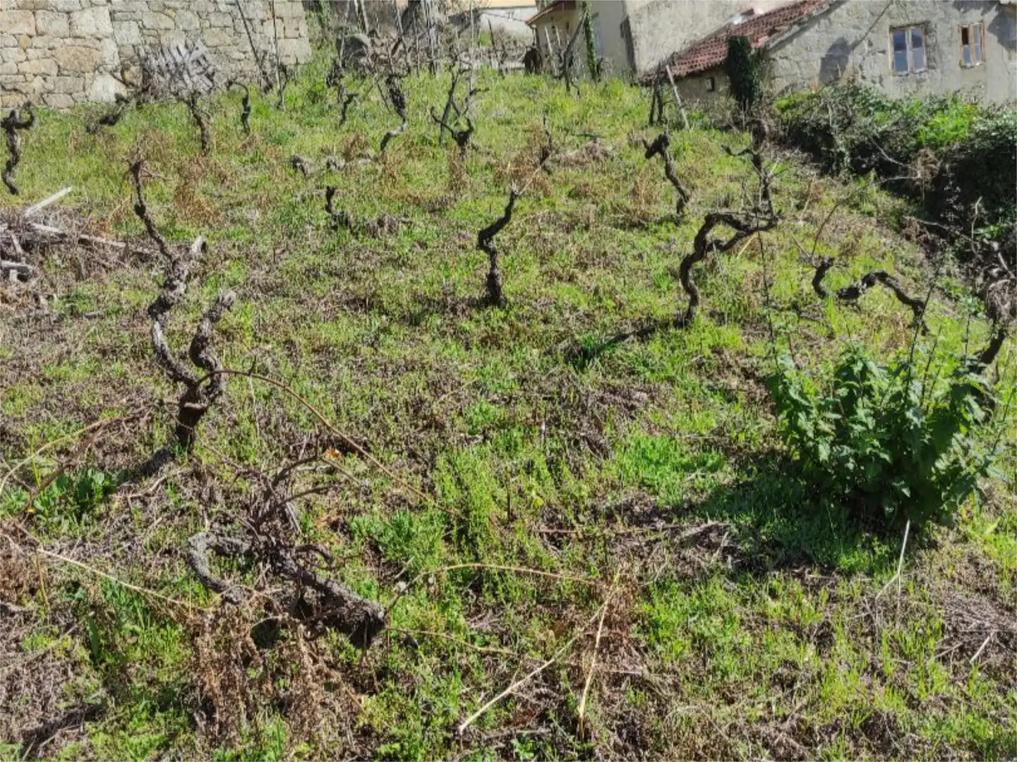 Bebaubares Gelände zum Verkauf in Aldea Casundila, 5, A Peroxa Bebaubares Gelände zum Verkauf in A Peroxa