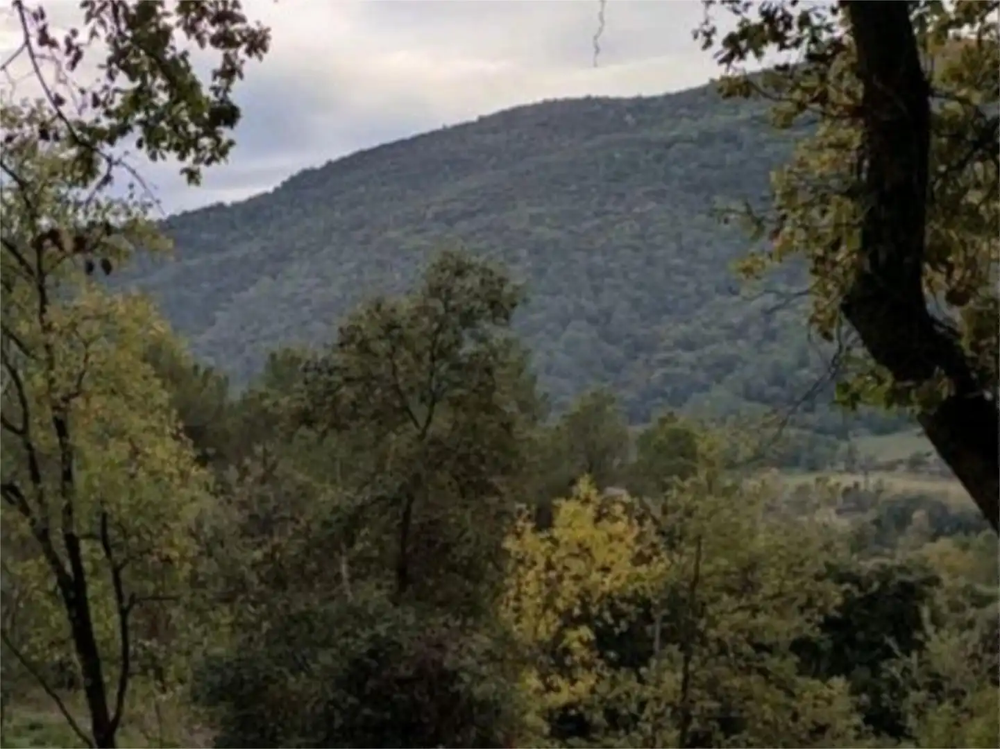 Terreno en venta en Avinguda Catalunya, 21, Porqueres Vista exterior de Terreno en venta en Porqueres