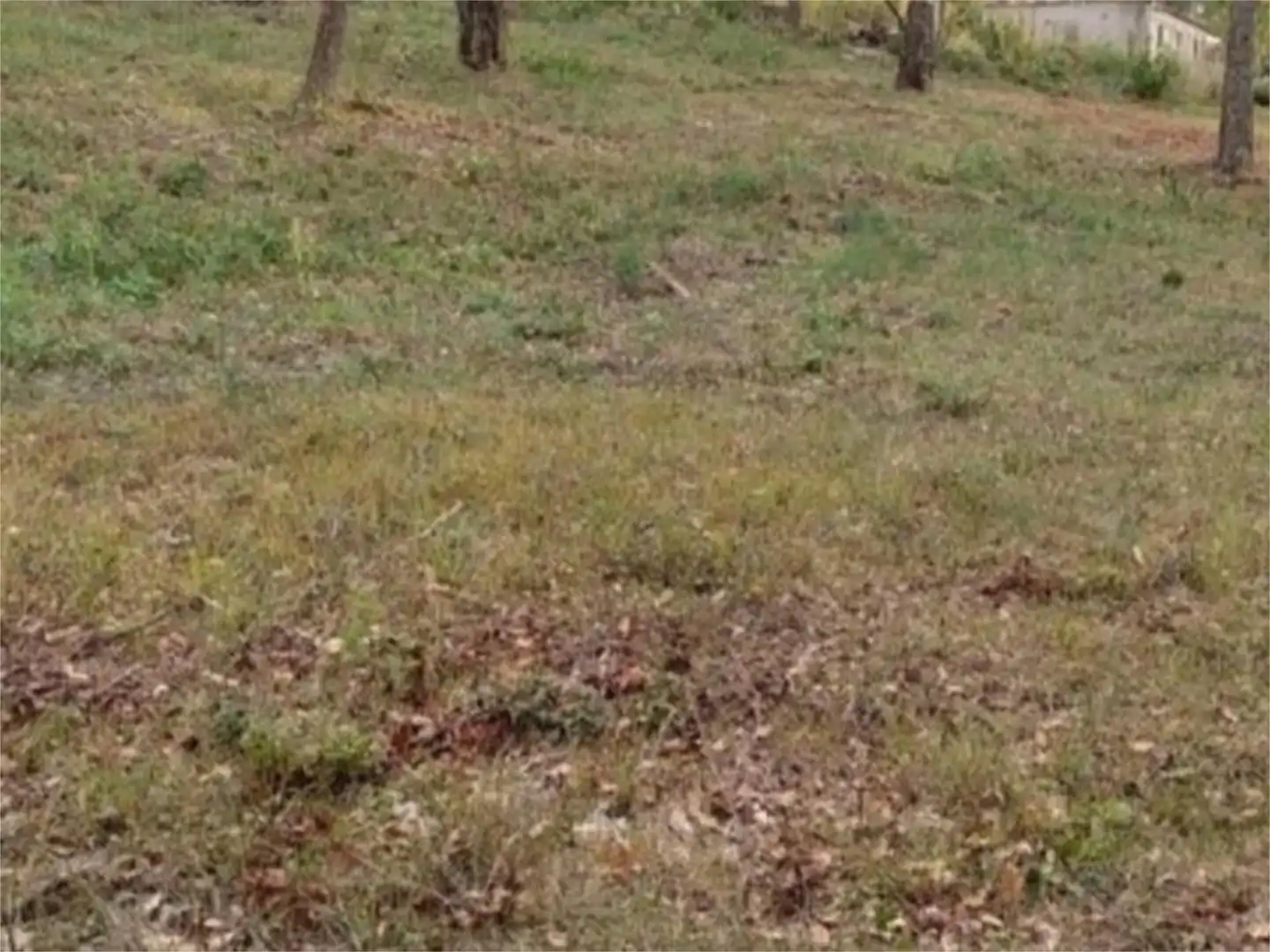 Terreno en venta en Avinguda Catalunya, 21, Porqueres Terreno en venta en Porqueres