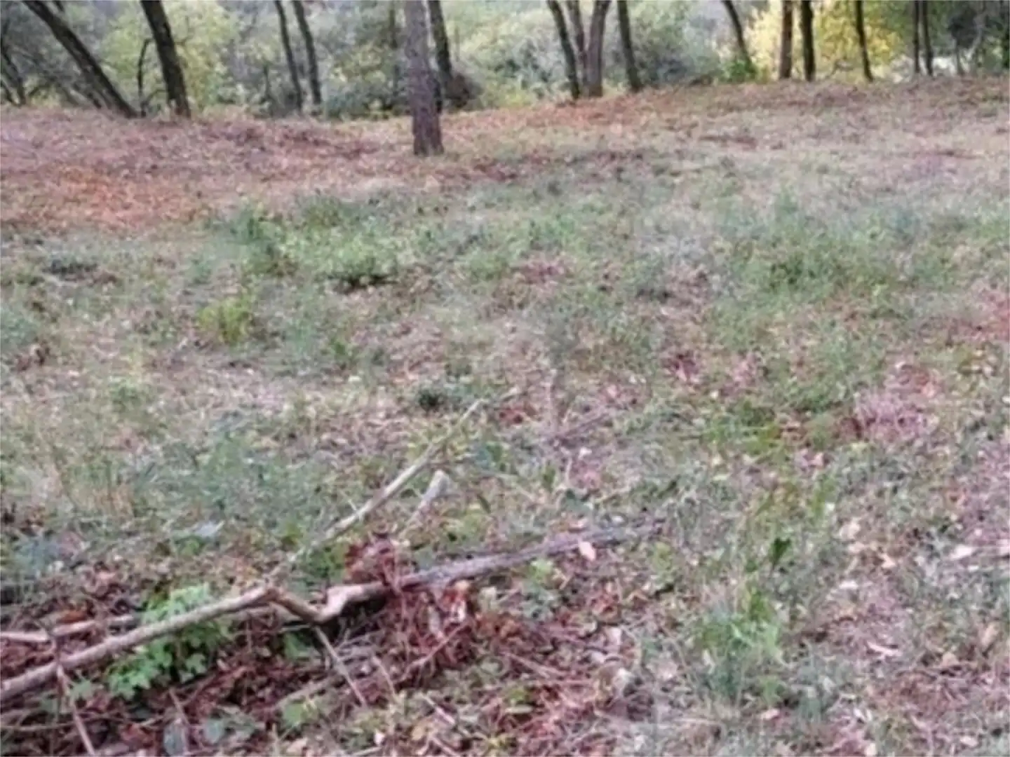 Terreno en venta en Avinguda Catalunya, 21, Porqueres Terreno en venta en Porqueres