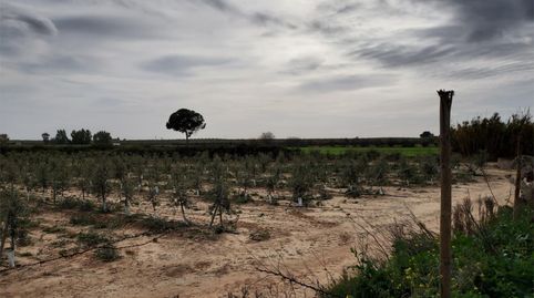 Foto 5 von Grundstücke zum Verkauf in Bollullos de la Mitación, Sevilla