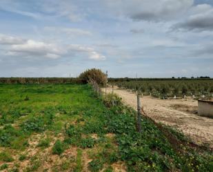 Finca rústica en venda en Bollullos de la Mitación