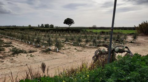 Foto 2 von Grundstücke zum Verkauf in Bollullos de la Mitación, Sevilla