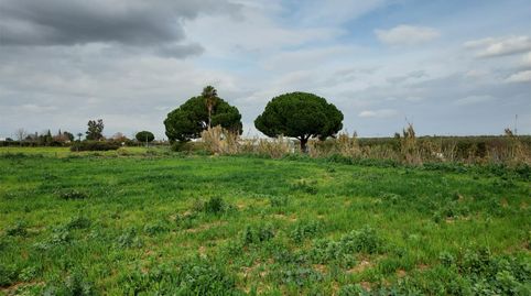 Foto 3 von Grundstücke zum Verkauf in Bollullos de la Mitación, Sevilla