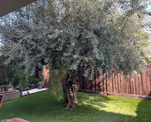 Jardí de Pis en venda en Sant Carles de la Ràpita amb Aire condicionat, Terrassa i Piscina