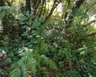 Non-constructible Land for sale in Camiño das Barxelas, 20, Leiro Garden of Non-constructible Land for sale in Leiro