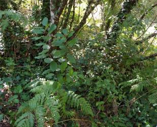 Jardí de No Urbanitzable en venda en Leiro