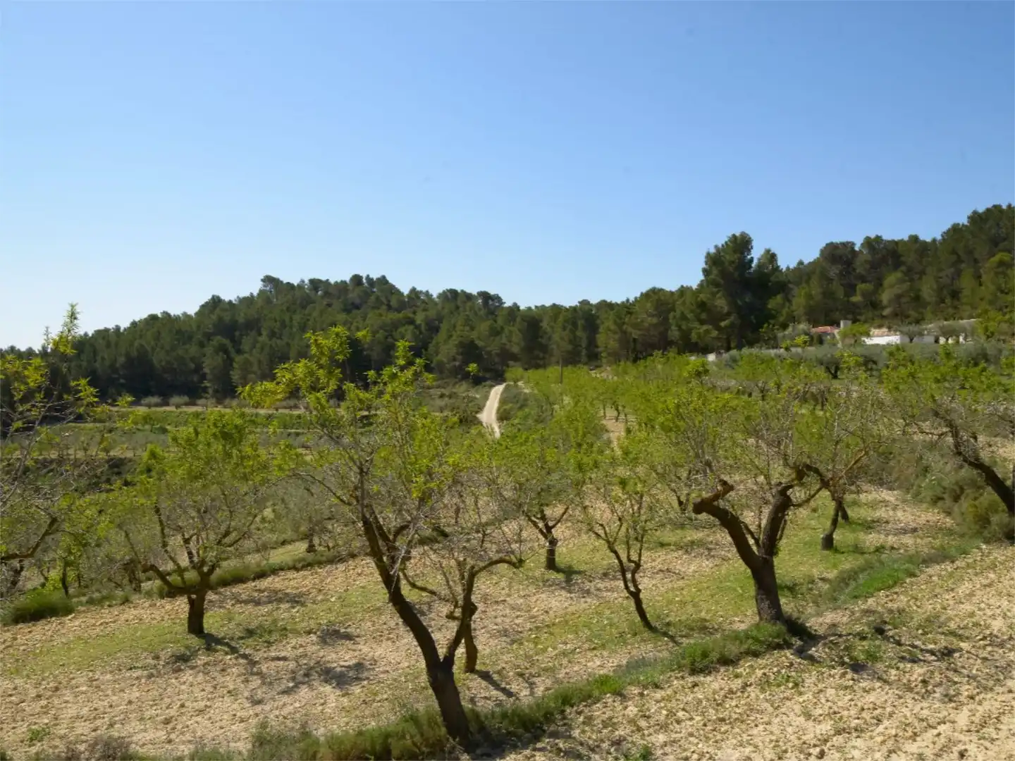 Casa o chalet en venta en Ibi Casa o chalet en venta en Ibi con Terraza y Piscina