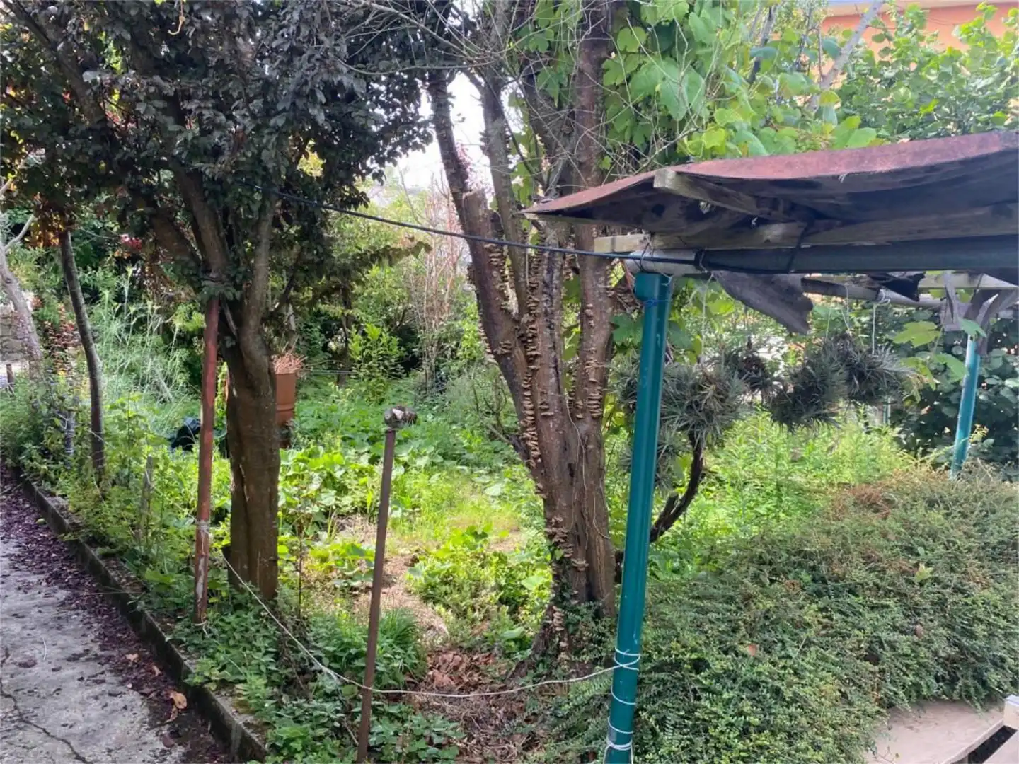 Casa o chalet en venta en Rúa Cangrexeiras, 5, Canido Casa o chalet en venta en Ferrol con Terraza