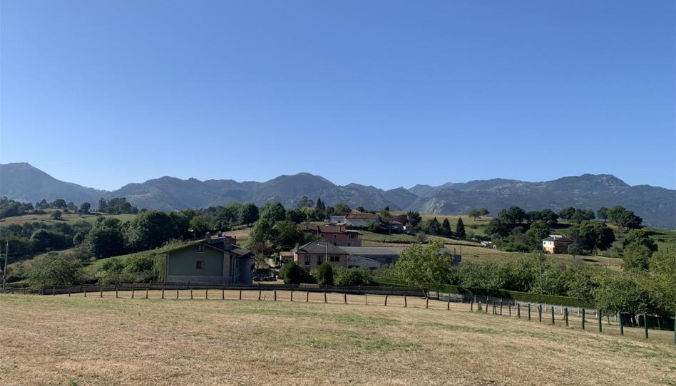 Foto 1 de Terreno en venta en Caserio Pruneda Purnea, 55, Nava, Asturias