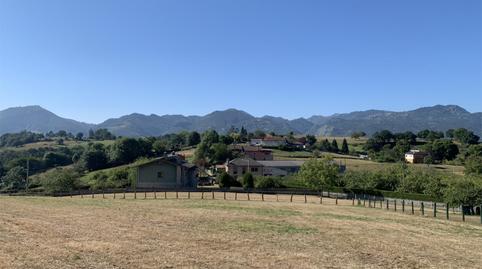 Foto 2 de Terreno en venta en Caserio Pruneda Purnea, 55, Nava, Asturias