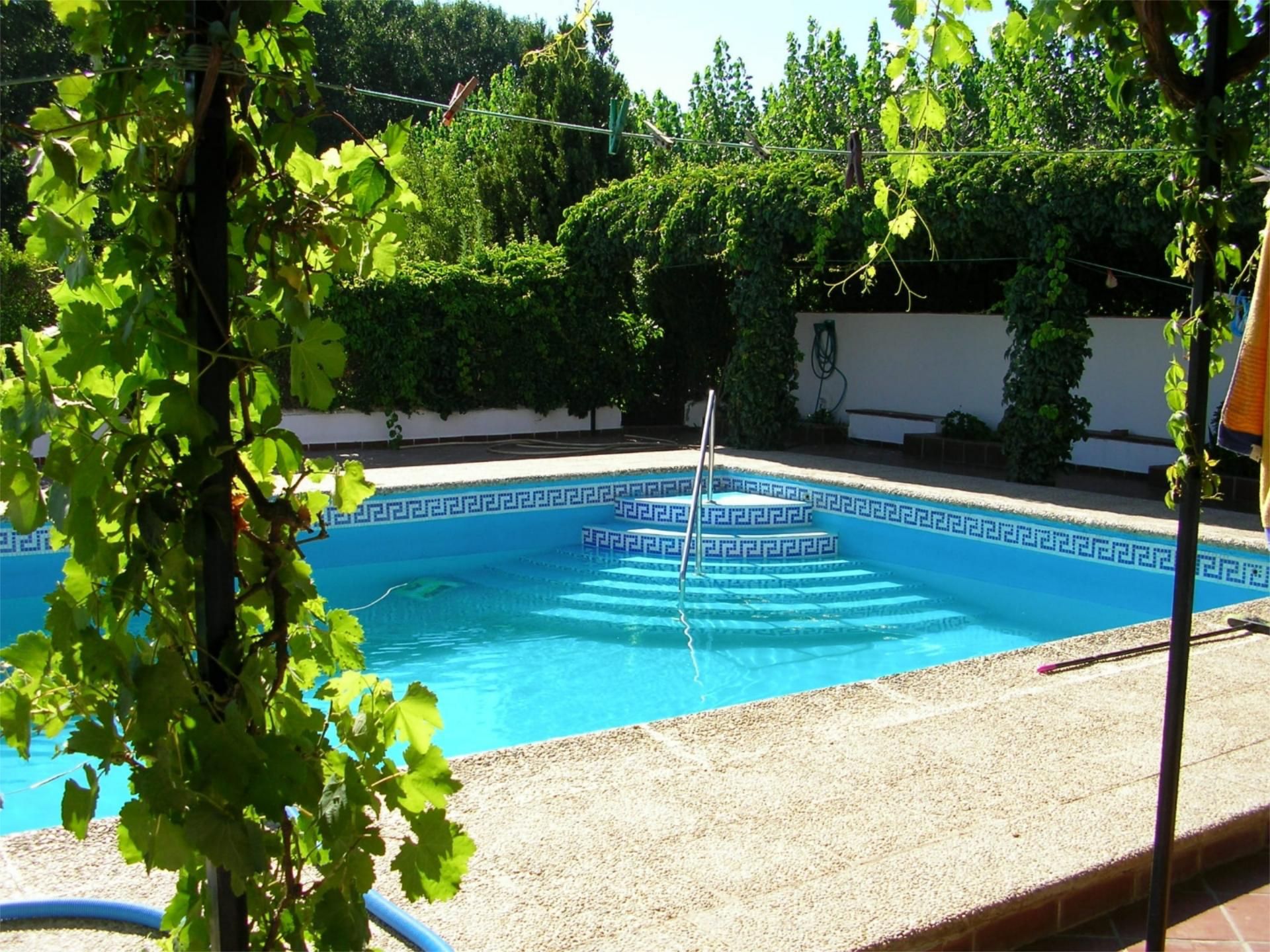 Swimming pool of House or chalet for sale in Valle del Zalabí  with Air Conditioner, Terrace and Swimming Pool