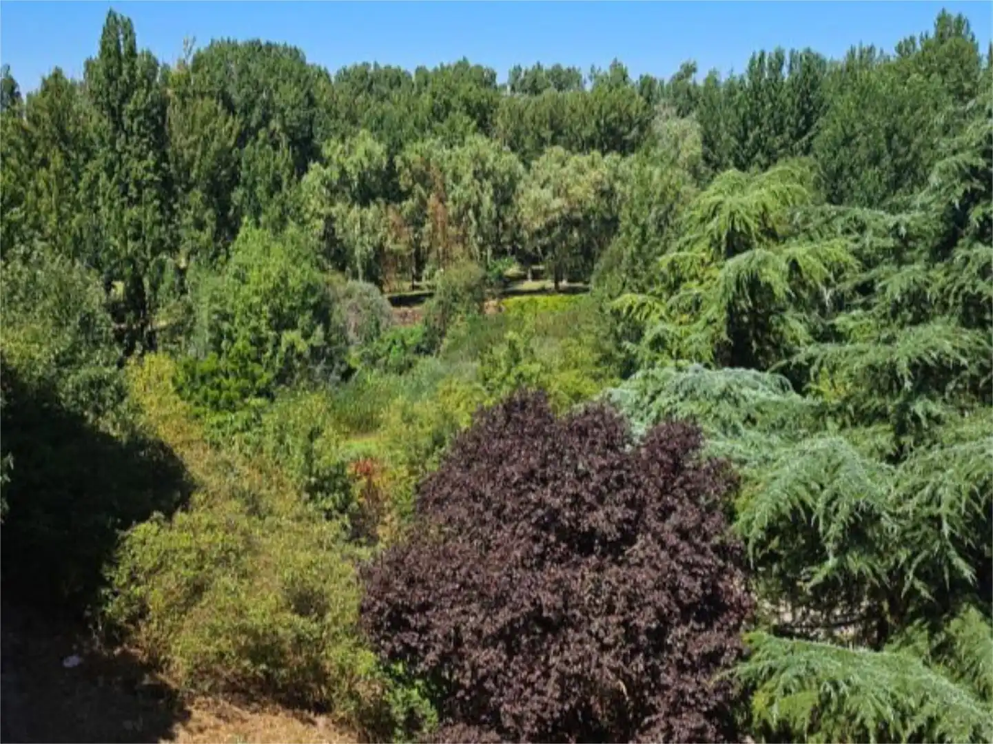 Einfamilien-Reihenhaus zum Verkauf in Calle Caba, 1, Almazán Garten von Einfamilien-Reihenhaus zum Verkauf in Almazán mit Heizung, Terrasse und Abstellraum