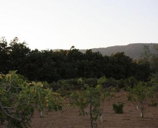 Finca rústica en venda en Losar de la Vera