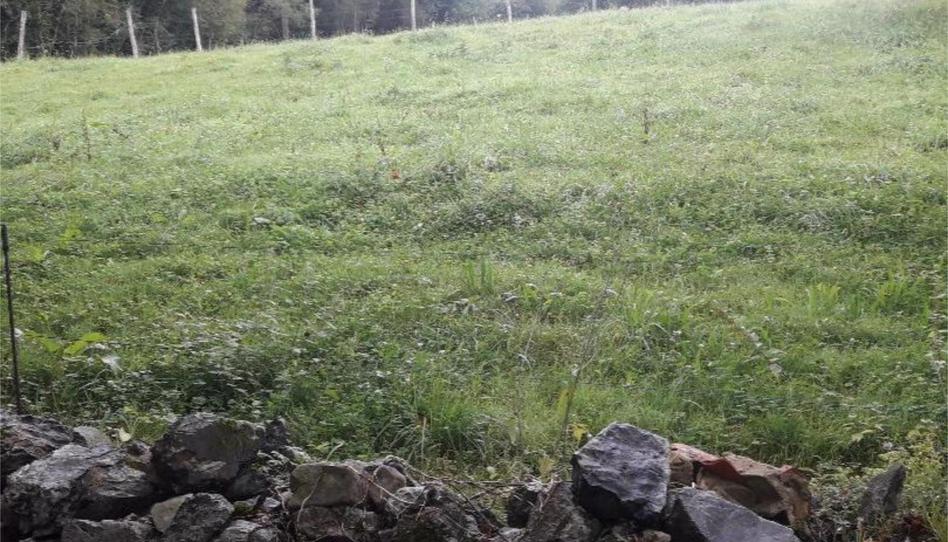 Constructible Land for sale in Calle Villahormes, 12a, Pría - Nueva-Hontoria - Naves, Asturias - image 1 Photo 1 of Constructible Land for sale in Calle Villahormes, 12a, Pría - Nueva-Hontoria - Naves, Asturias