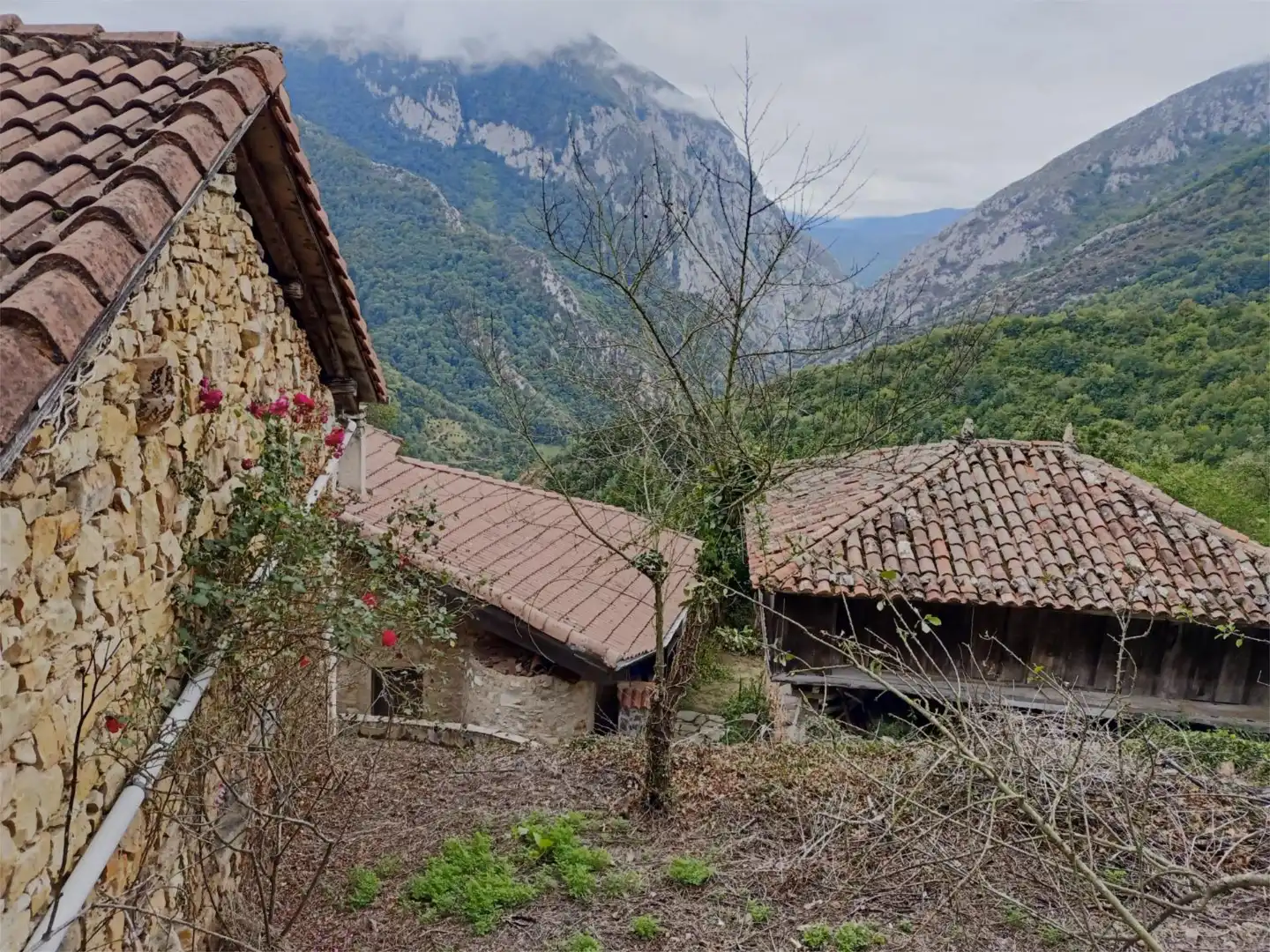 Piso en venta en Lugar Bustiello, Proaza Vista exterior de Piso en venta en Proaza con Jardín privado