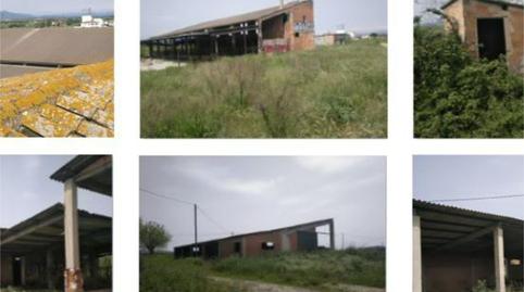 Finca rústica en venda a Terrafortuna - Puig Ventós, Girona - imatge 5 Foto 5 de Finca rústica en venda a Terrafortuna - Puig Ventós, Girona