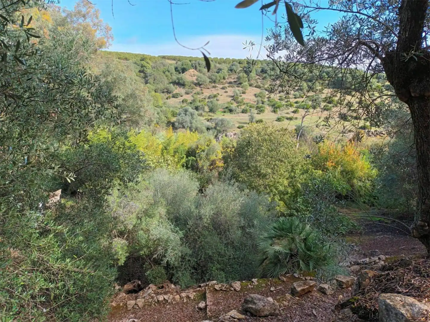 Finca rústica en venta en Diseminado Diseminados, 193, Hornachuelos Finca rústica en venta en Hornachuelos con Jardín privado, Terraza y Piscina