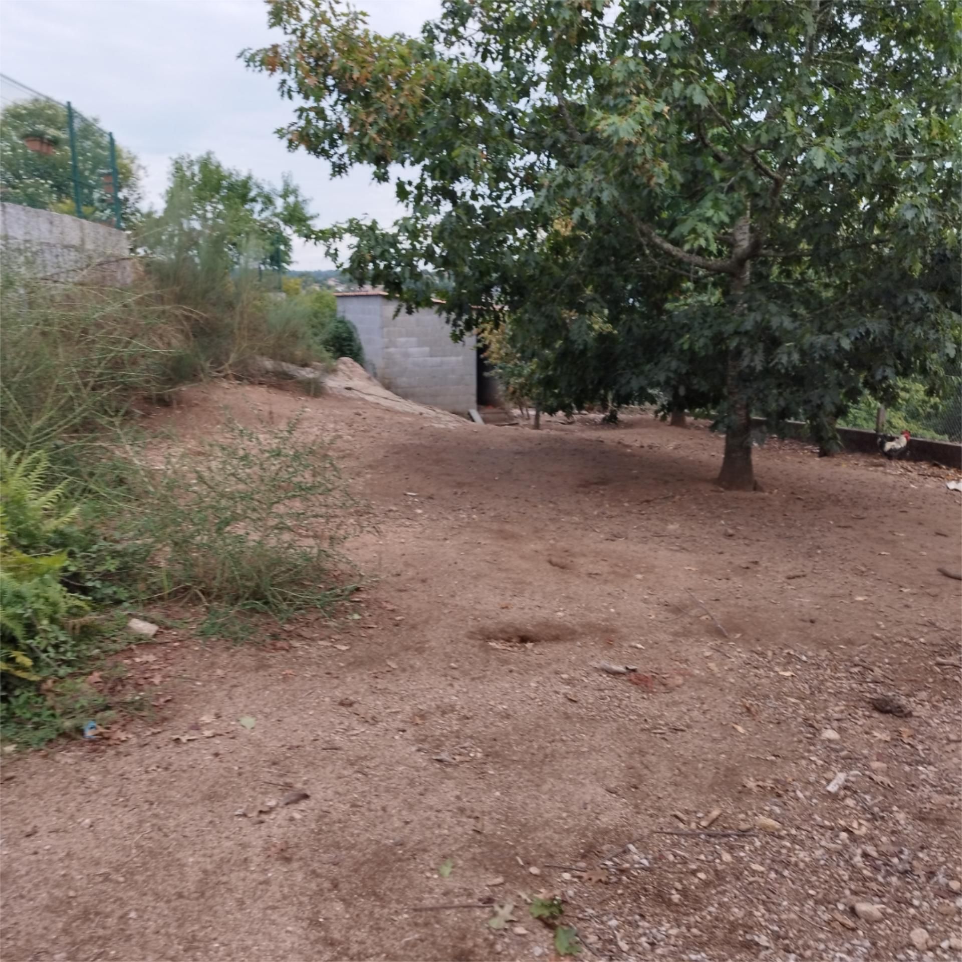 Non-constructible Land for sale in Barbadás