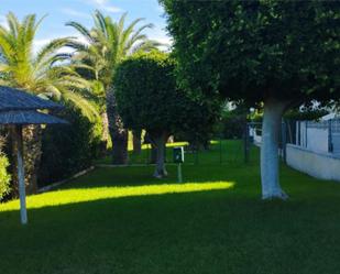 Garden of Flat for sale in Torrevieja  with Terrace, Swimming Pool and Balcony