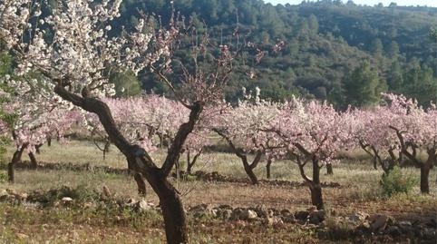 Casa adosada en venda a Cv-15, 11, Vall d'Alba, Castellón - imatge 3 Foto 3 de Casa adosada en venda a Cv-15, 11, Vall d'Alba, Castellón