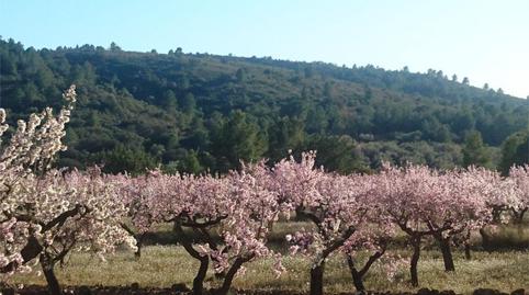 Casa adosada en venda a Cv-15, 11, Vall d'Alba, Castellón - imatge 4 Foto 4 de Casa adosada en venda a Cv-15, 11, Vall d'Alba, Castellón