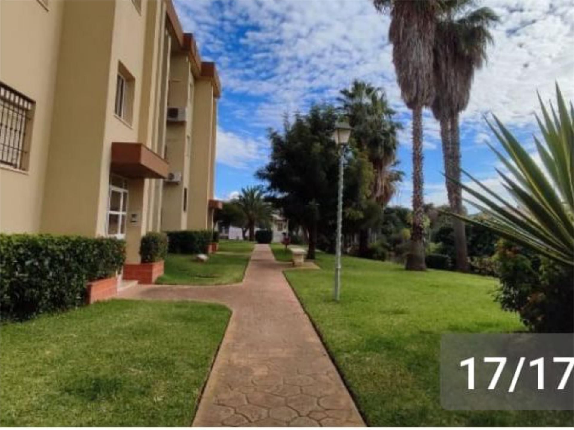 Exterior view of Planta baja for sale in Algeciras  with Private garden, Terrace and Swimming Pool