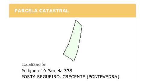 Foto 3 de Finca rústica en venda a Rua Mon y Landa, 16, Crecente, Pontevedra