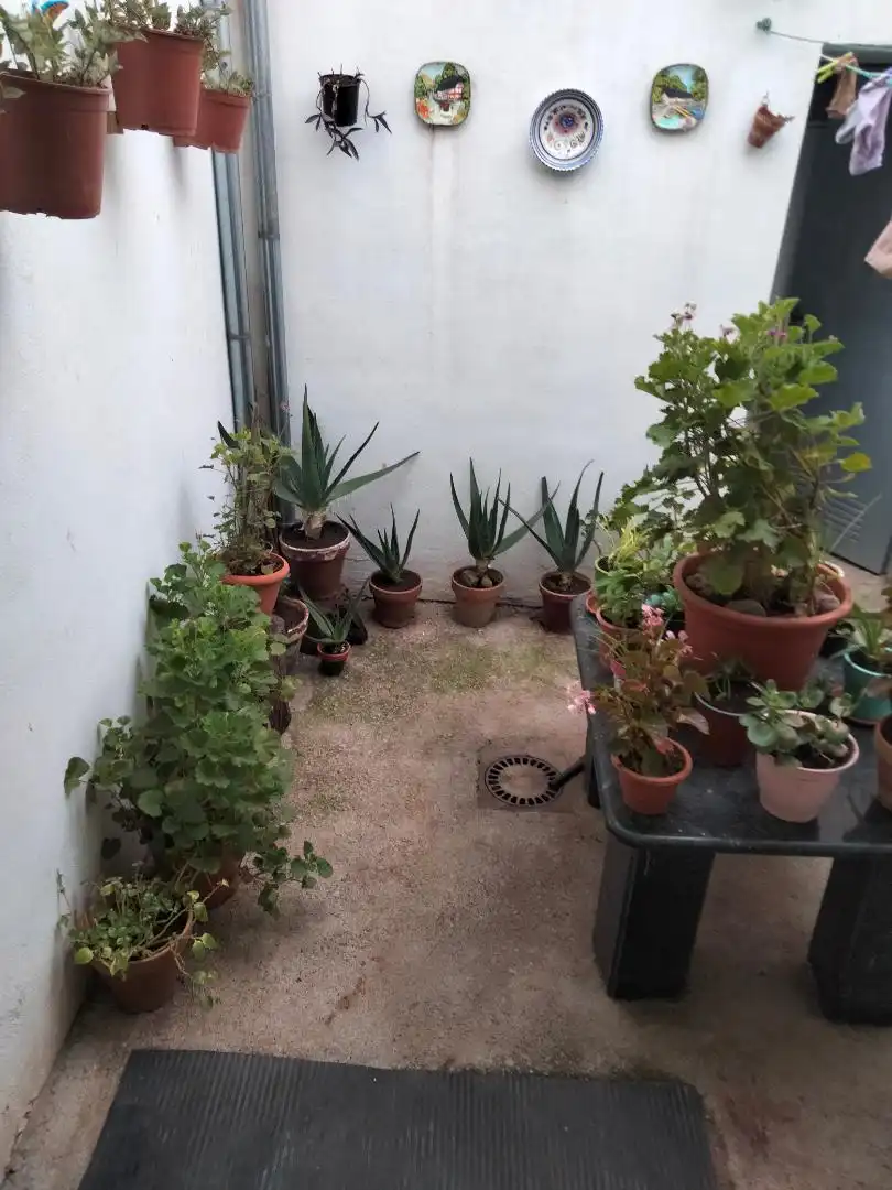 Balcony of Flat for sale in Puebla del Maestre