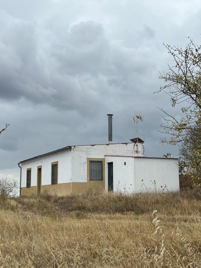 Vista exterior de Finca rústica en venda en Garrovillas de Alconétar