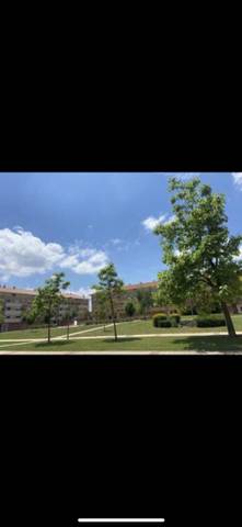 Local comercial en Alquiler en Calle Hernando de Soto, 4 en La Vega