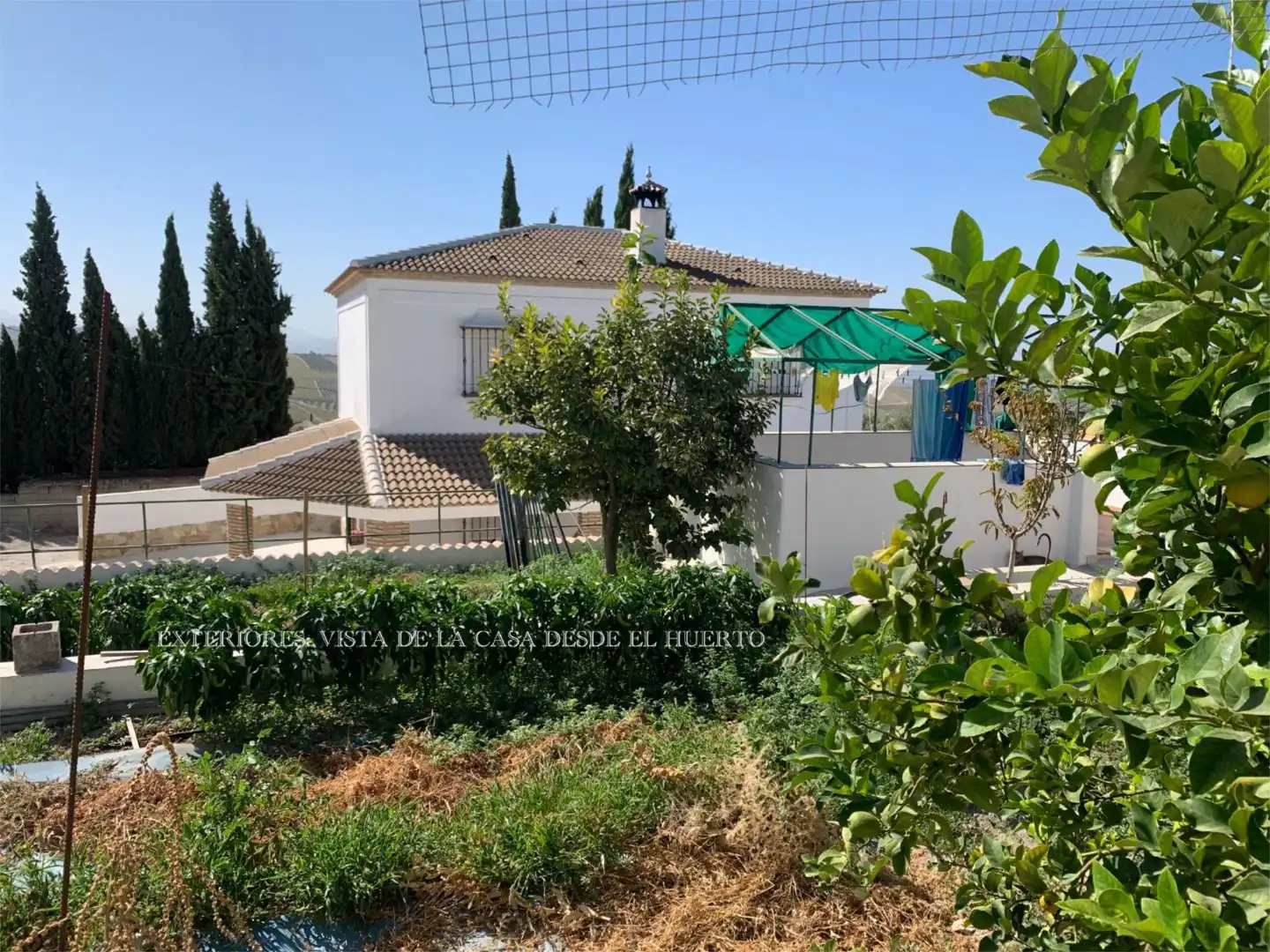 Flat for sale in Diseminado Diseminados, 286, Montilla Exterior view of Flat for sale in Montilla with Private garden, Terrace and Swimming Pool