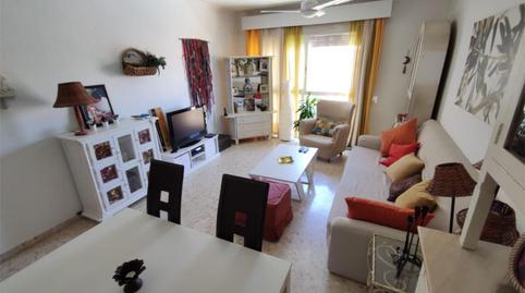 Photo 2 of Flat to share in Avenida de las Ciencias, 36, Colores -  Entreparques, Sevilla