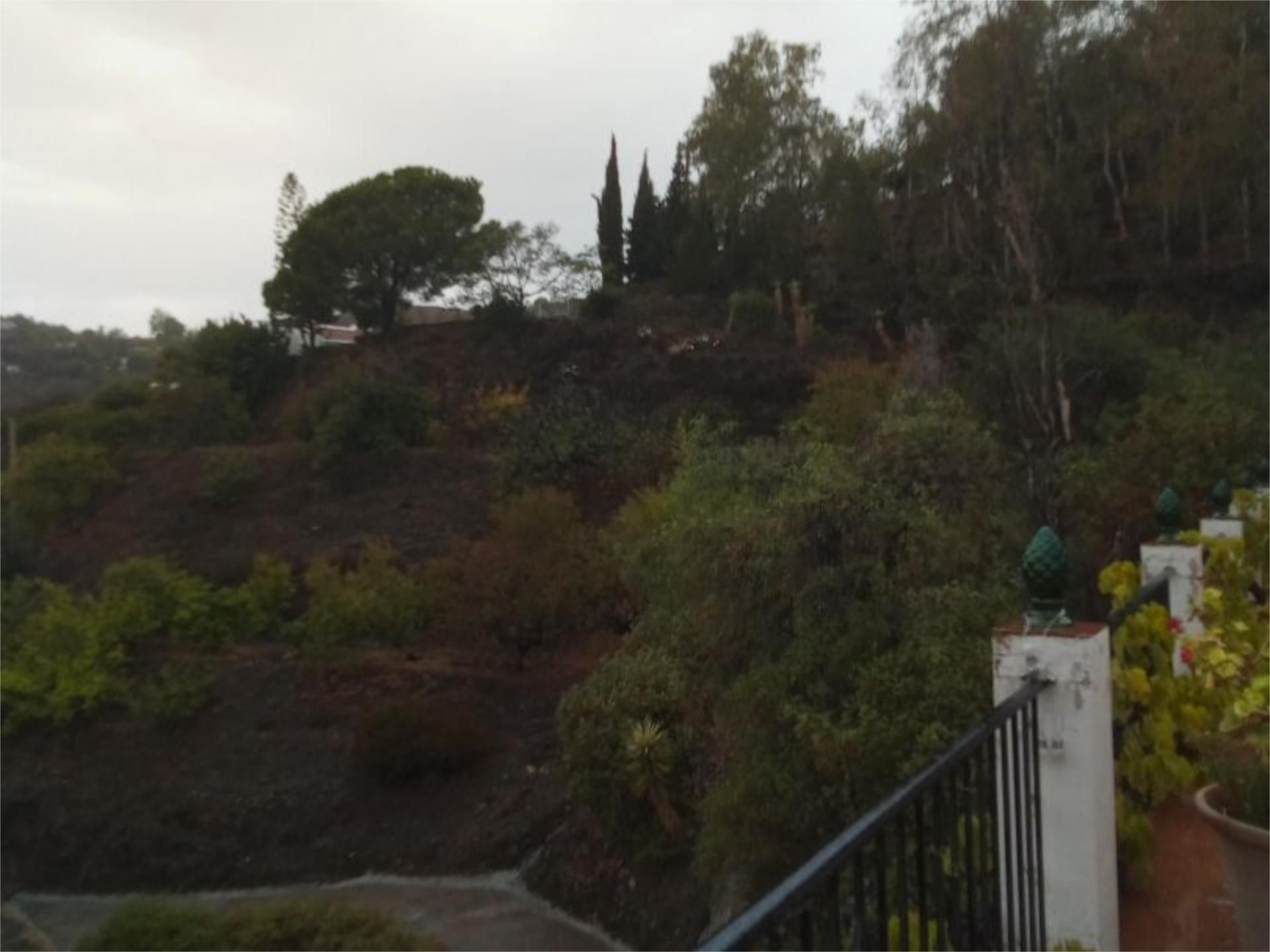 Garden of Flat to rent in Cómpeta  with Air Conditioner, Heating and Private garden
