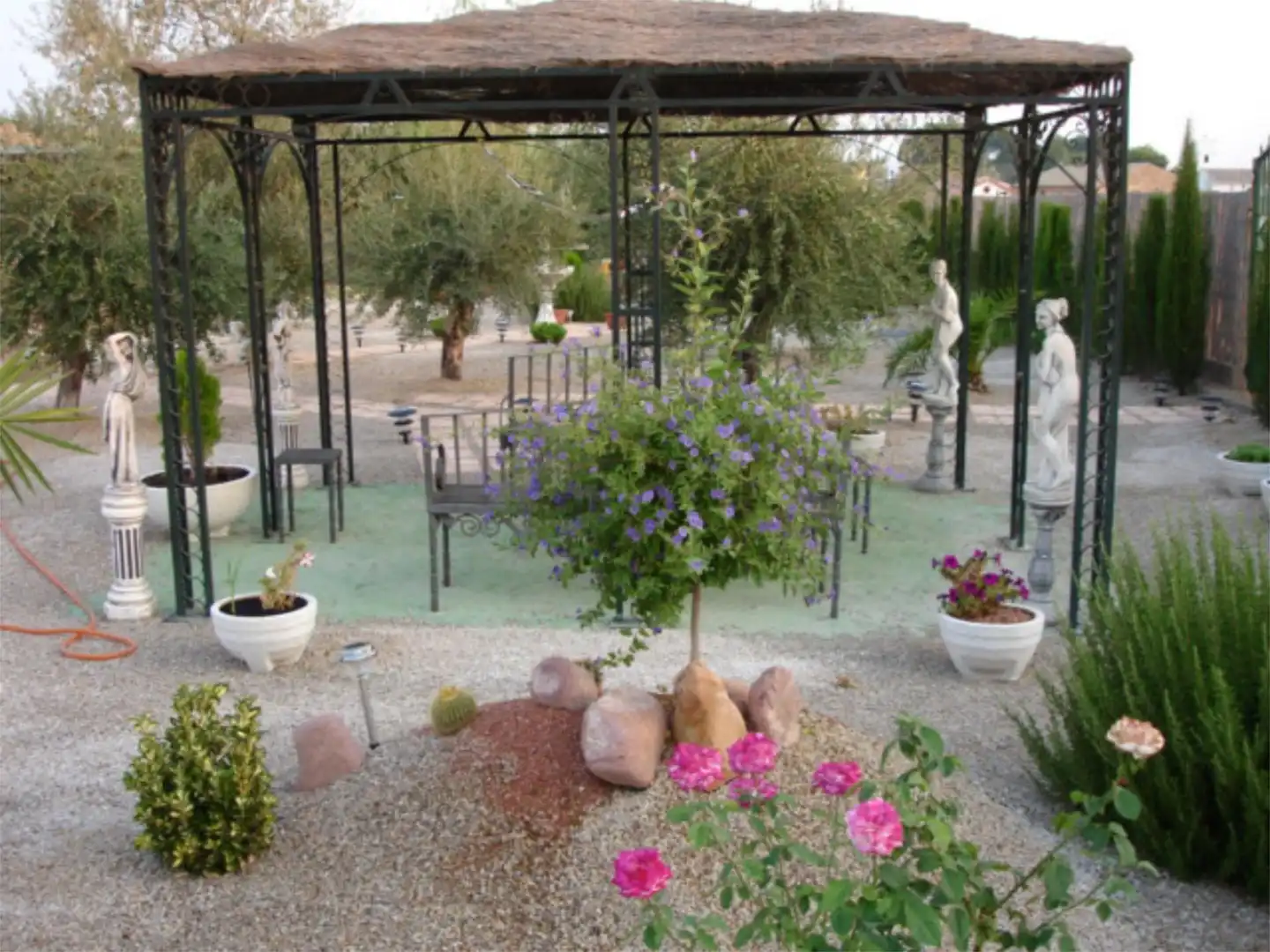 Jardín de Casa o chalet en venta en Hellín con Terraza