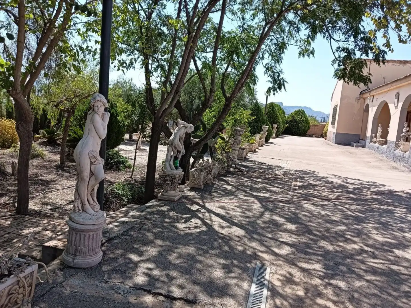 Jardín de Casa o chalet en venta en Hellín con Terraza