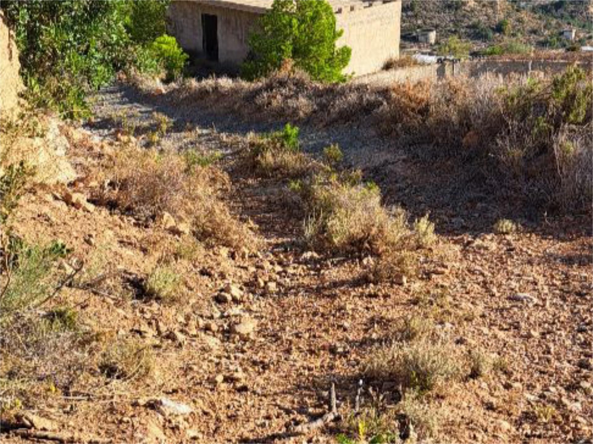 Non-constructible Land for sale in Gualchos