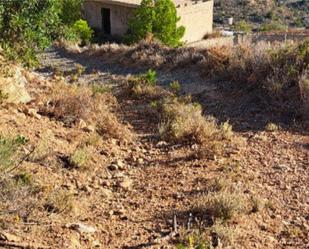 Non-constructible Land for sale in Gualchos